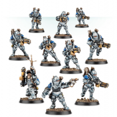 Solar Auxilia Veletaris Storm Section