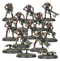 Indomitus Necrons Warriors