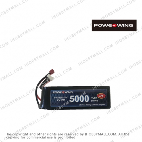 PW22250-25C Battery