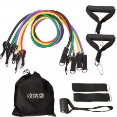 Gym Resistance Bands Set