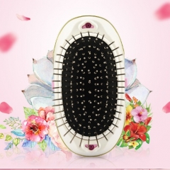 Ionic Hairbrush