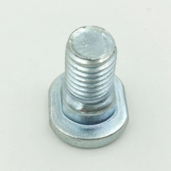 Customized Special Head Bolt with Neck