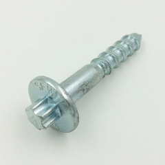 Customized Special Screw