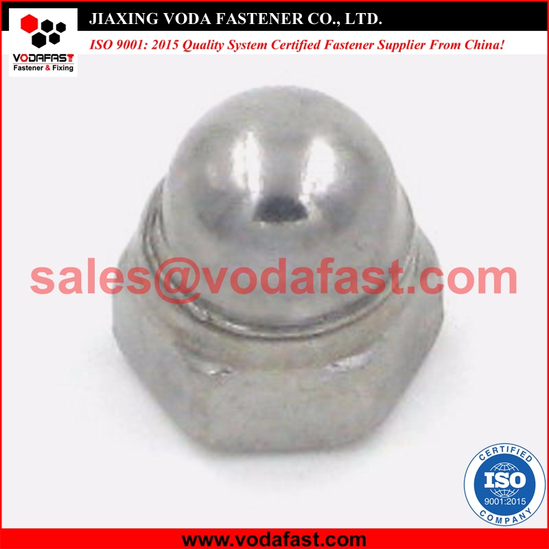 Hex Cap Nuts made of Steel and Stainless Steel