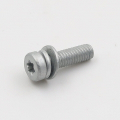 Special Customized Machine Screws