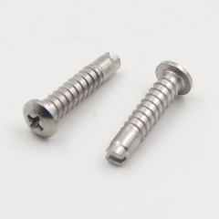 Special Customized Machine Screws