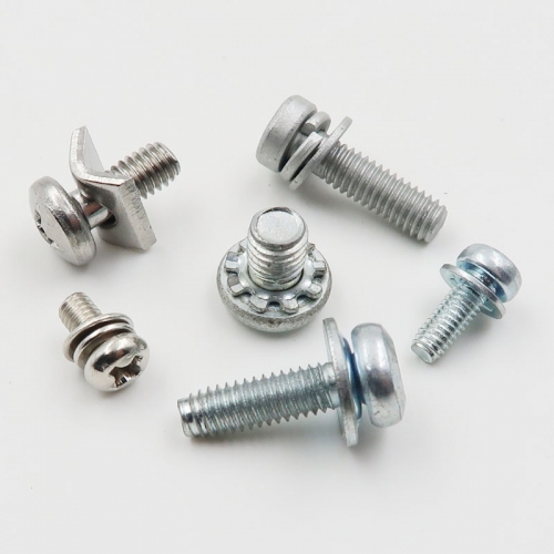 Special Customized Machine Screws