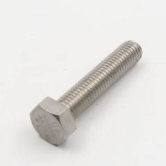 Stainless Steel Hex Bolts with Nuts