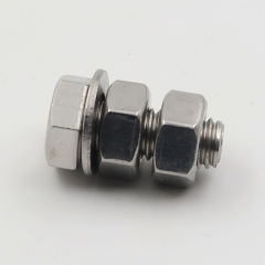 Stainless Steel Hex Bolts with Nuts