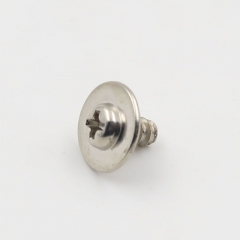 Stainless Steel Self Tapping Screws