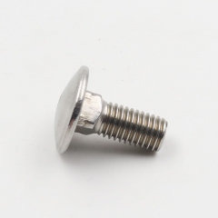 Stainless Steel Carriage Bolts