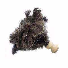 Ostrich feather duster