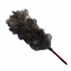Ostrich feather dusters