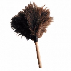 Ostrich feather duster with wood handle