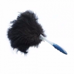 Ostrich feather duster