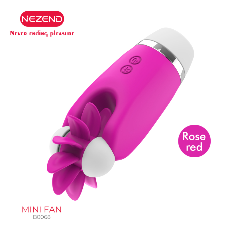 Mini Fan