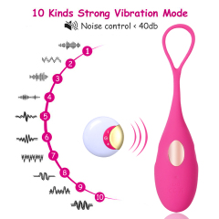 USB Silicone Remote Vibrator Egg Kegel Ball