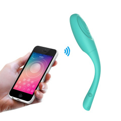 Bluetooth Vibration Egg