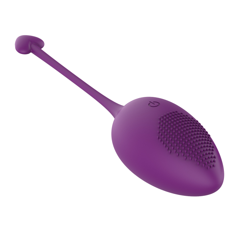 Remote Purple Rose Red Wireless Vibrator