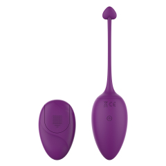 Remote Purple Rose Red Wireless Vibrator