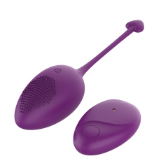 Remote Purple Rose Red Wireless Vibrator