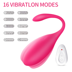 Vibrator Egg