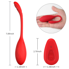 Vibrator Egg