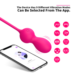 Bluetooth Vibrator Egg