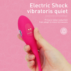 Bluetooth Vibrator Egg