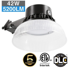 LED Yard Light-42W-30K