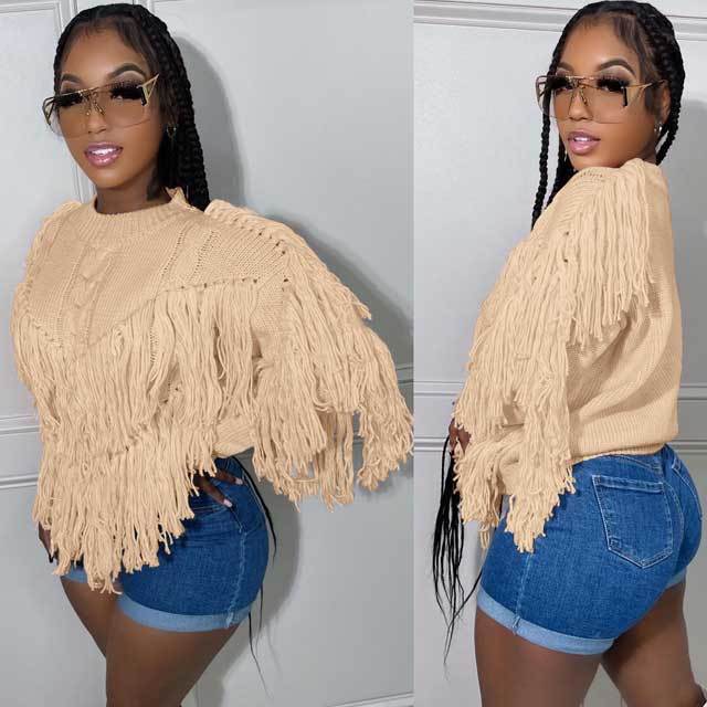 Crochet Knit Fringe Sweater Top