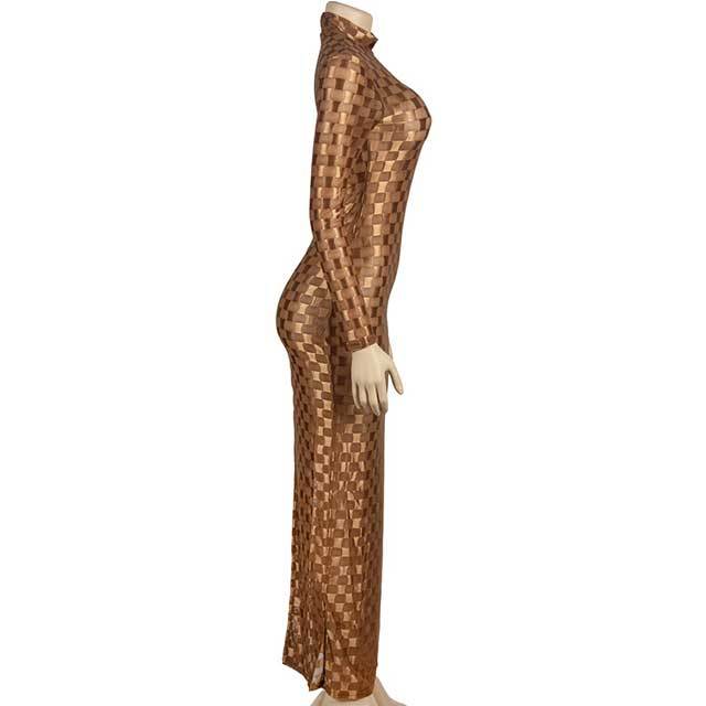 Mesh Jacquard Long Sleeve Maxi Dress