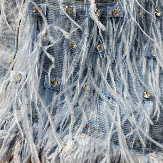 Rhinestones Feather Denim Shorts