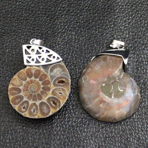 Charm Handmade Natural Conch Ammonite Silver Wrapped Pendant Shell Necklace for Women