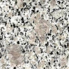 Pearl Flower Granite