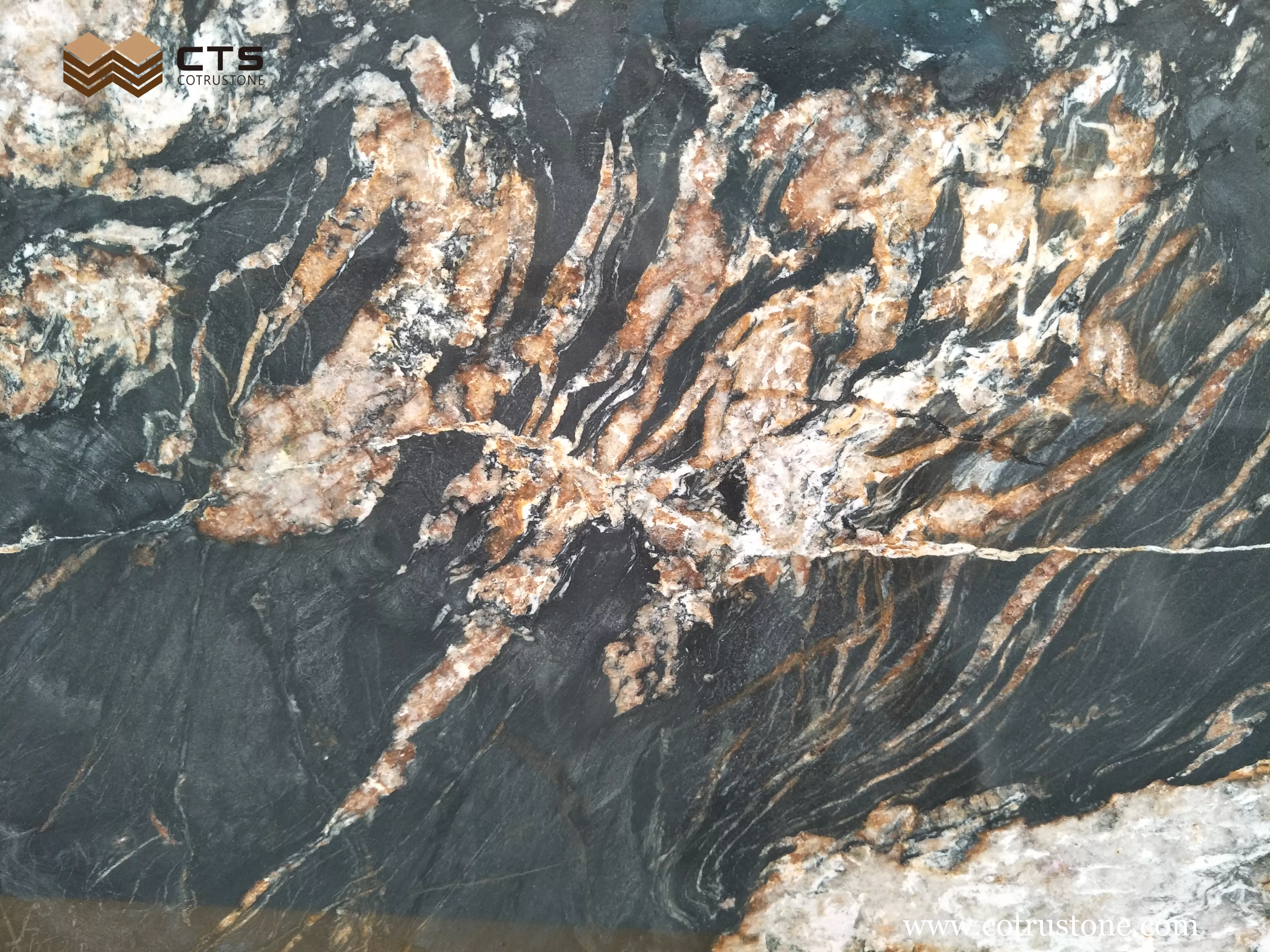 Black Fusion Granite Slab