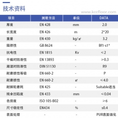 净斯塔卷材—KS 20810