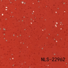 NLS 22962