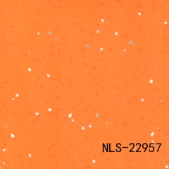 NLS 22957