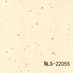 NLS 22055