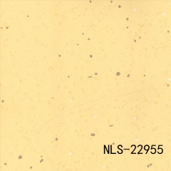 NLS 22955