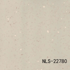 NLS 22780