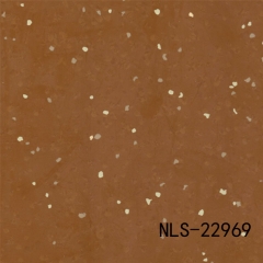 NLS 22969