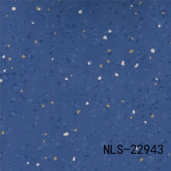 NLS 22943