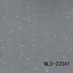 NLS 22041