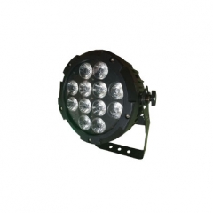 12*10W 4in1 Waterproof LED Slim Par Light