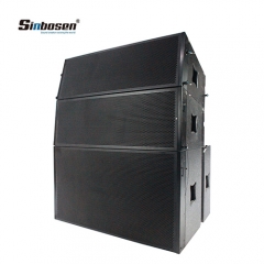 Système de ligne de réseau audio professionnel Sn2010 de Sinbosen pour réseau de ligne double de 10 pouces