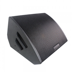 High Performance 15 Inch 2 Way Stage Monitor Speaker