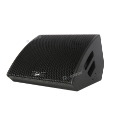 High Performance 15 Inch 2 Way Coaxial Stage Monitor Speaker