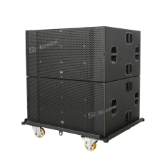 BT-22 Bar Sound Reinforcement Double 18 Inch Subwoofer